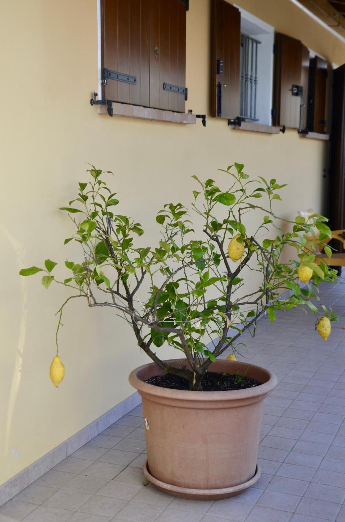 A Casa Di Amici Villa Vidor ภายนอก รูปภาพ